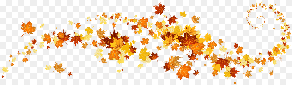 About Us Fall Leaves Banner Clip Art, Tree, Plant, Leaf, Pattern Png Image