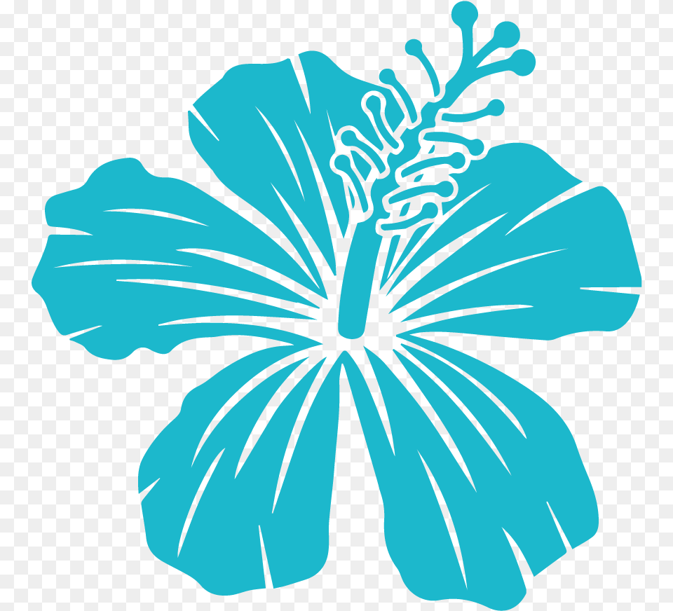 About Us Hawaiian Hibiscus, Flower, Plant, Person, Anther Free Png