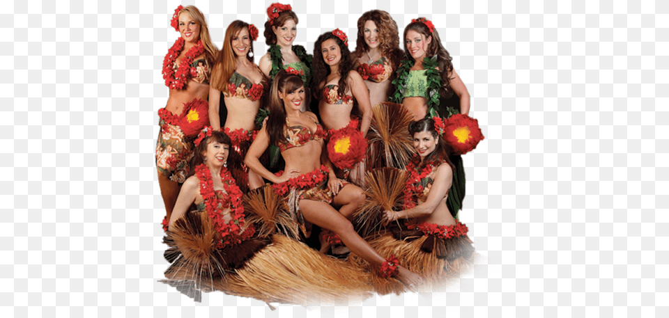 About Us Hula Belly Dance, Plant, Flower Arrangement, Flower, Accessories Free Png Download