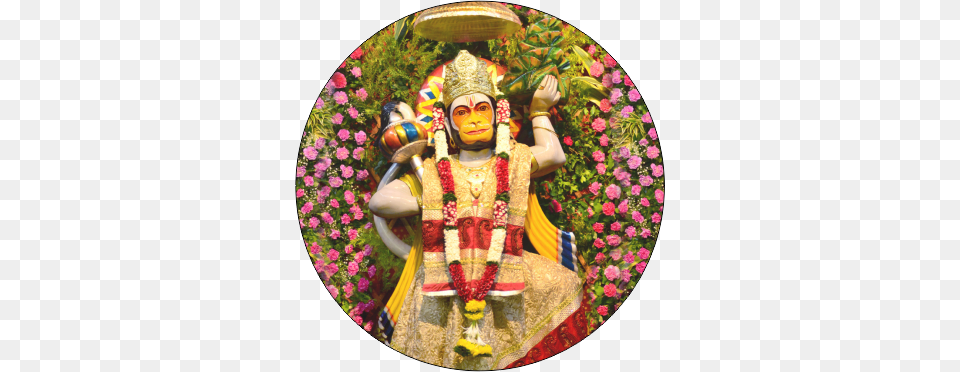 About Us Icchapurti Hanuman Mandir Malad, Plant, Photography, Flower, Flower Arrangement Free Png