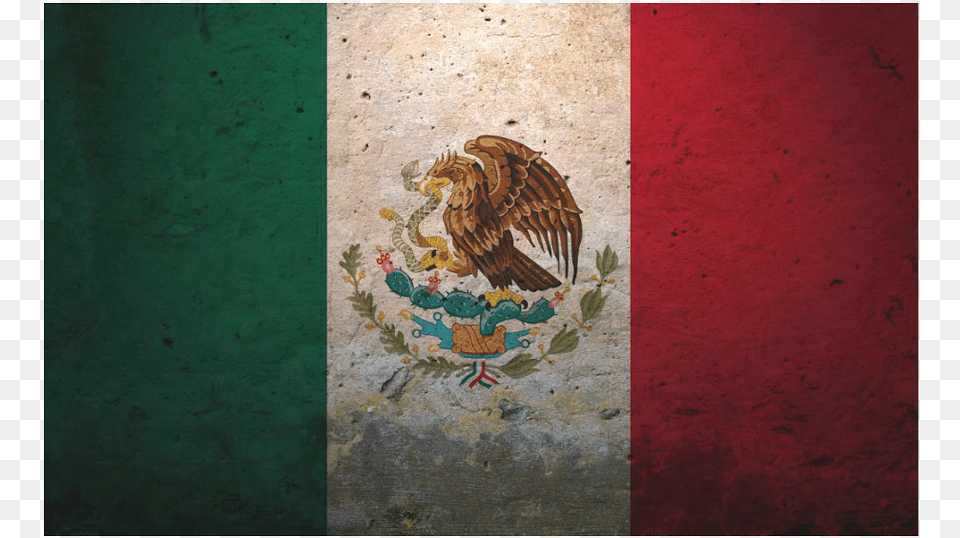 About Us Mexico Flag Grunge, Art, Painting, Animal, Bird Png