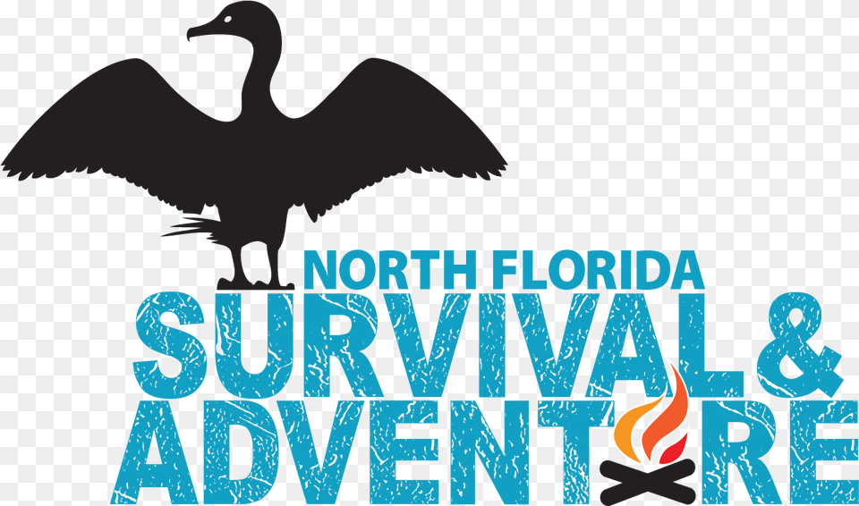 About Us North Florida Water Bird, Animal, Cormorant, Waterfowl, Goose Png Image