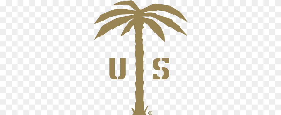 About Us Palm Palm, Plant, Tree, Palm Tree, Person Free Png