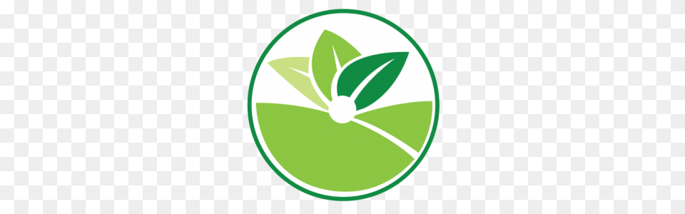About Us Roxas Sigma Agriventures Inc, Citrus Fruit, Plant, Lime, Leaf Png