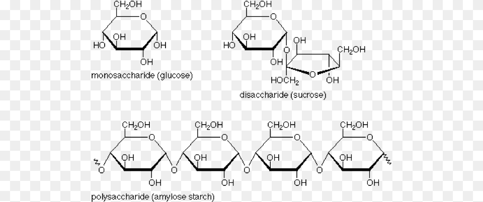 Above You Can See The Sugar And The Larger Starch Molecules Carbohydrate Structures, Gray Free Png