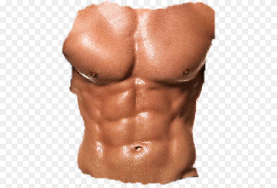 Abs Best Body Build, Body Part, Person, Skin, Torso Png Image