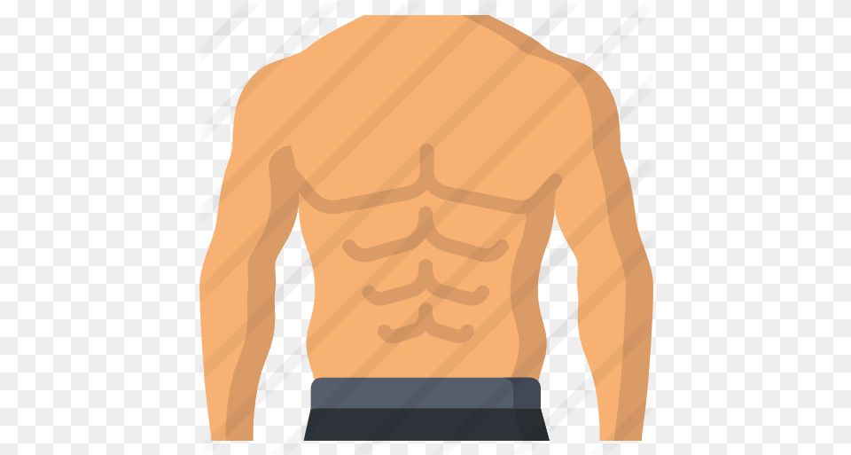 Abs People Icons, Back, Body Part, Person, Torso Png Image