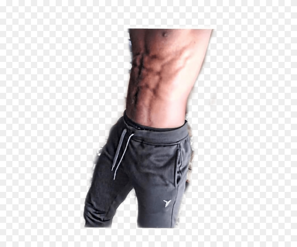 Abs Sixpack Fitness Vegan Freetoedit Male, Back, Body Part, Person, Adult Free Transparent Png