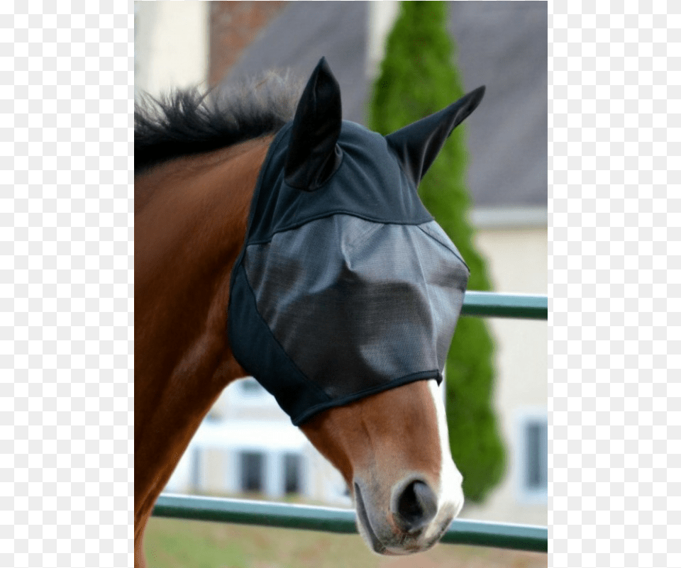 Absorbine Ultrashield Fly Mask With Ears Stallion, Adult, Male, Man, Person Png
