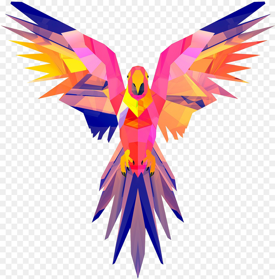 Abstract Bird, Animal, Flying, Person Free Png Download