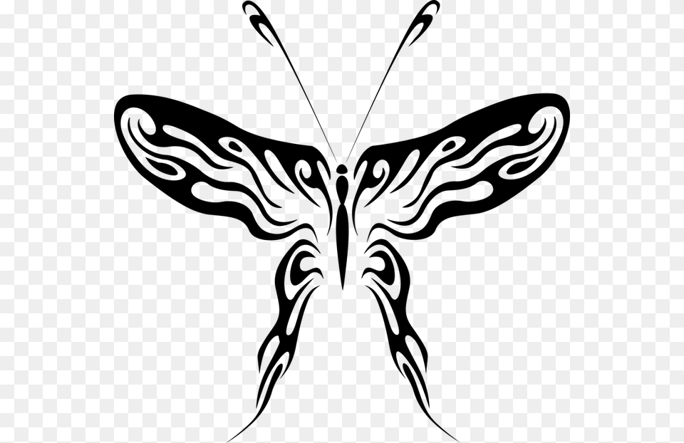 Abstract Butterfly Line Drawing Clipart Download Butterfly Line Art, Gray Free Transparent Png