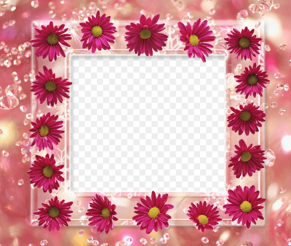 Abstract Floral Frame Birthday Photo Frame Flower, Plant, Daisy, Dahlia, Cream Free Png