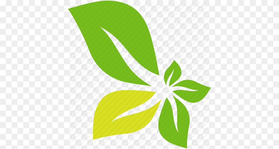 Abstract Flower Green Leaves Icon, Plant, Leaf, Herbs, Herbal Png Image