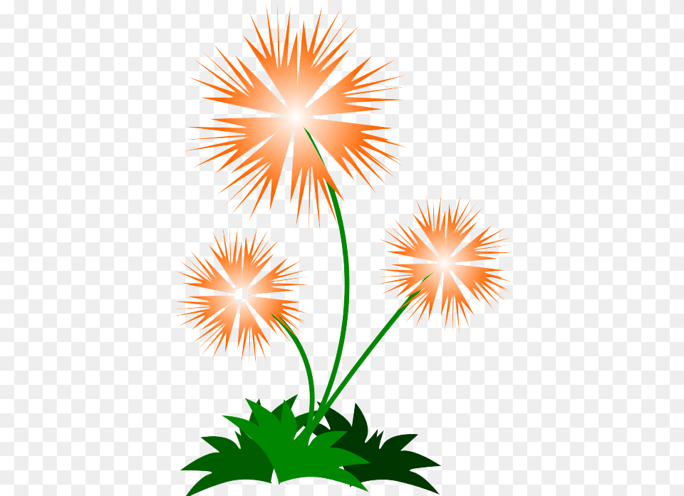 Abstract Flower Picture File Designs Flowers, Plant, Fireworks Png Image