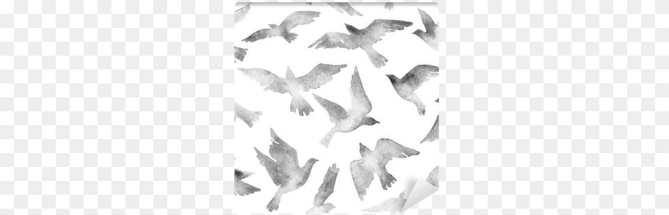 Abstract Flying Bird Set With Watercolor Texture Isolated Aquarel Vliegende Vogel, Baby, Person, Animal, Flock Png Image