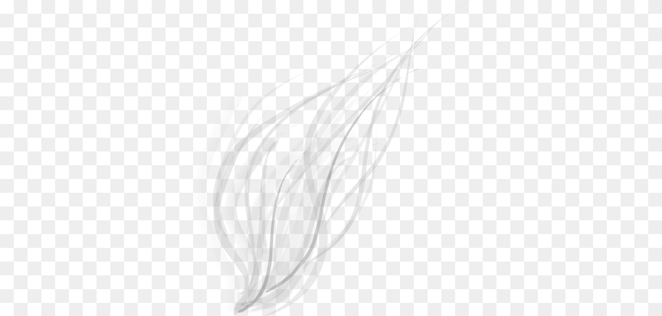 Abstract Lines Transparent Abstract Lines White, Art, Plant, Food, Produce Free Png