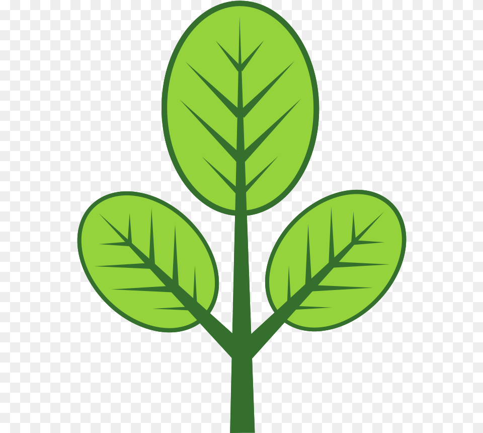 Abstract Tree With Clip Art, Leaf, Plant, Annonaceae, Tobacco Free Transparent Png