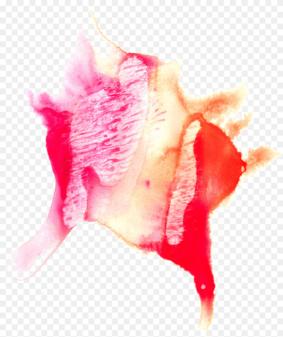 Abstract Watercolor Transparent Watercolor Painting, Flower, Petal, Plant, Animal Png