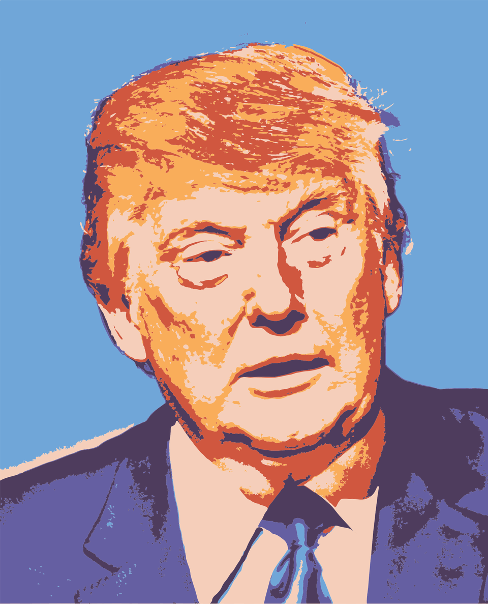 Abuse Of Trump Foundation Criminal Tax Implications Donald Trump Soviet Union, Person, Photography, Head, Portrait Free Png Download