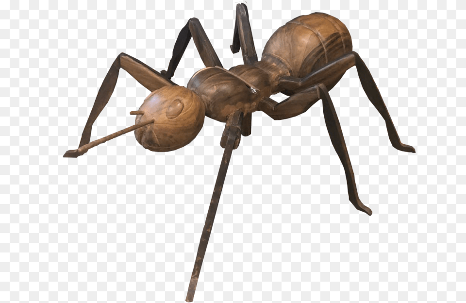 Ac 85 Ant, Animal, Insect, Invertebrate, Mace Club Png Image