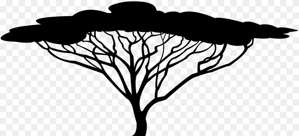 Acacia Silhouette, Art, Plant, Tree, Drawing Png