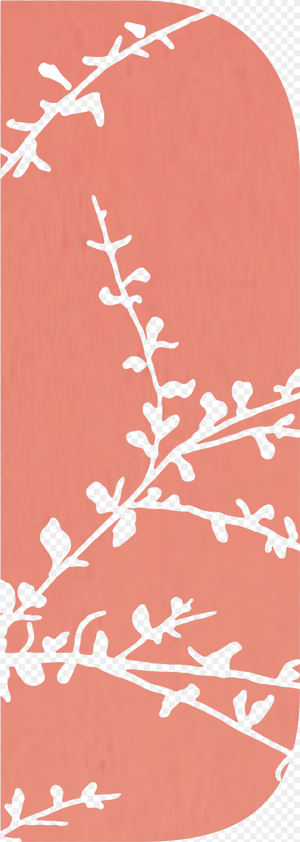 Acacia Silk 10 Ml, Flower, Plant, Silhouette, Art Free Png