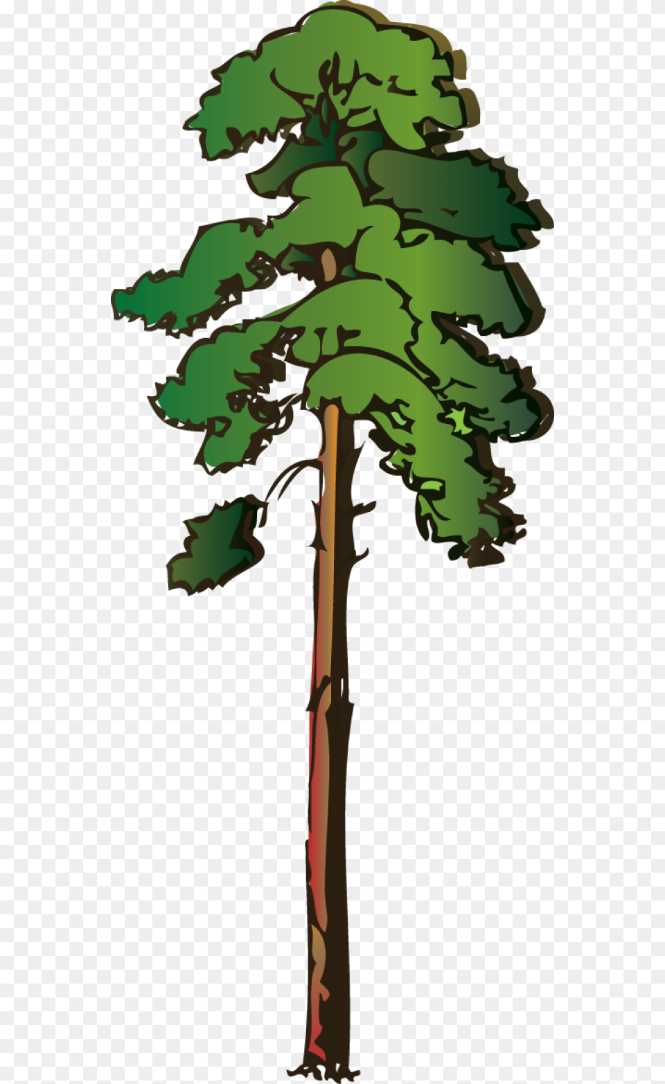 Acacia Tree Clip Art Red Wood Tree Clipart, Vegetation, Green, Plant, Pine Png Image