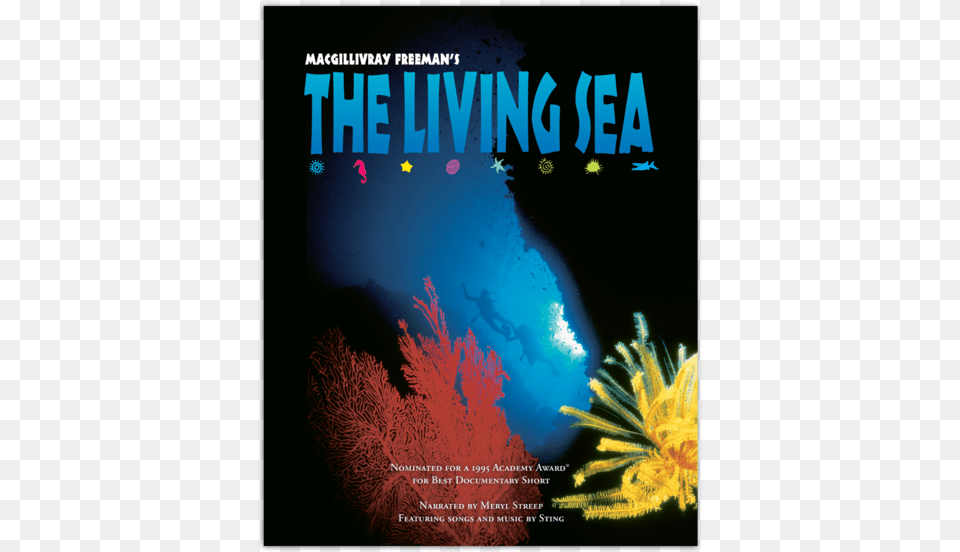 Academy Award Nominated The Living Sea Takes You To Sting The Living Sea, Advertisement, Poster, Nature, Outdoors Free Transparent Png
