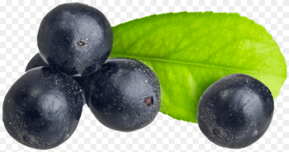 Acai Berry Acai Com Folha, Blueberry, Food, Fruit, Produce Png Image