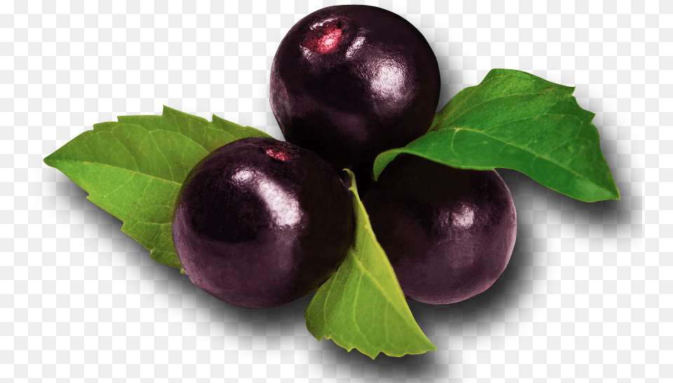 Acai Isolated Acai Berries, Food, Fruit, Plant, Produce Png Image