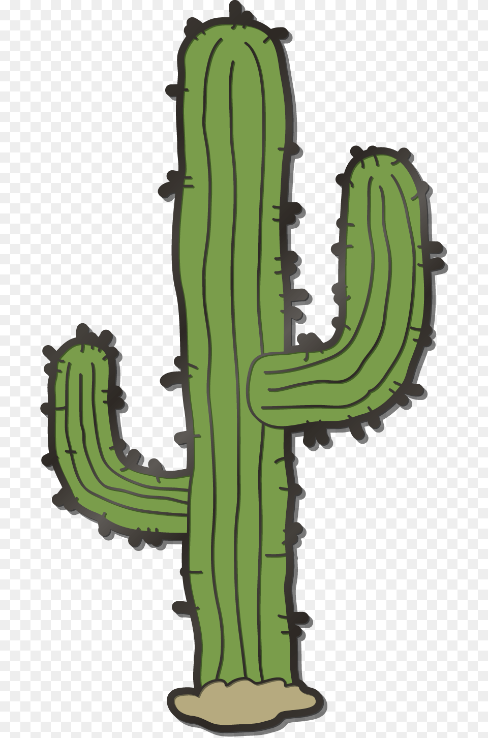Acanthocereus Tetragonus, Cactus, Plant Png Image