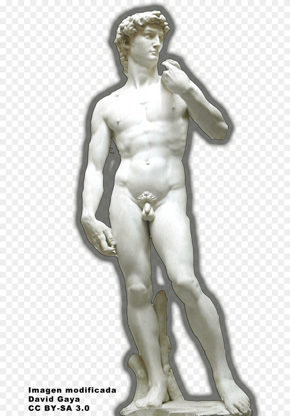 Accademia Di Belle Arti Firenze David Statue, Adult, Male, Man, Person Free Png Download