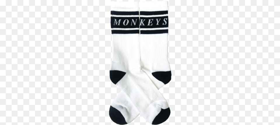 Accessories Arctic Monkeys Socks Merch, Clothing, Hosiery, Sock, Baby Free Png Download