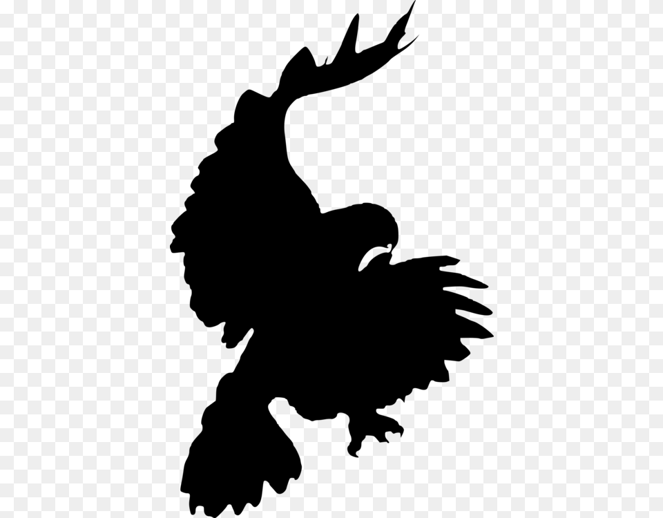 Accipitridae Red Tailed Hawk Bird Silhouette, Gray Free Png