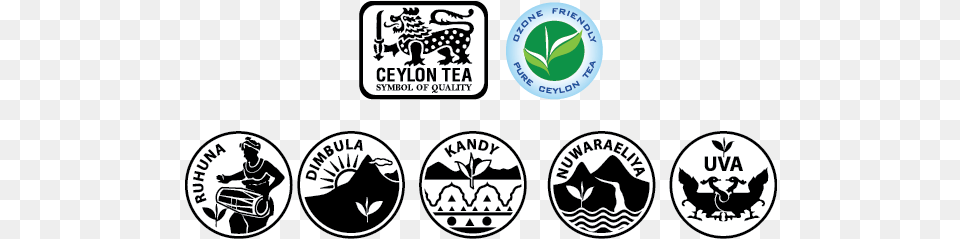 According To Legend Tea Was Discovered Over 5000 Years Dilmah Green Tea Ginger 25 Bags, Logo, Sticker, Adult, Male Free Png Download