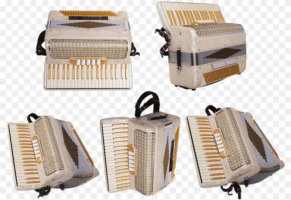 Accordion Fur Music Orchestra Philharmonic Hall Diatonic Button Accordion, Musical Instrument Png
