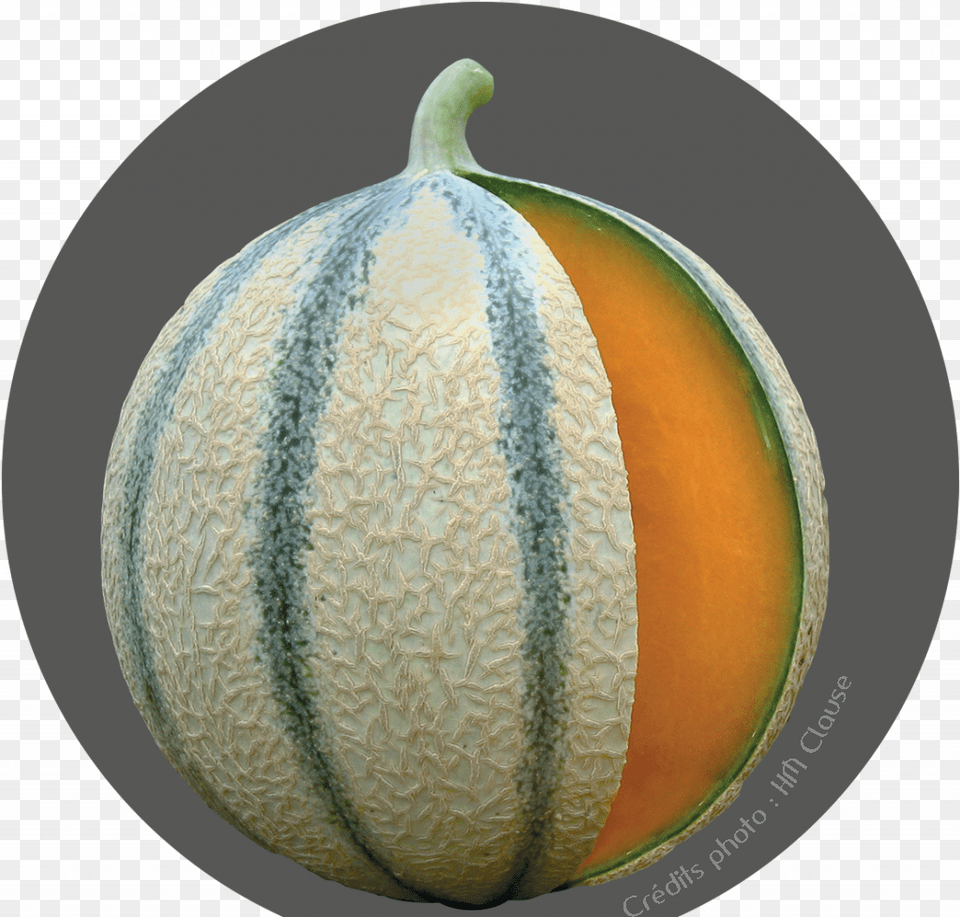 Accueil Melon De Cavaillon, Food, Fruit, Plant, Produce Free Png Download