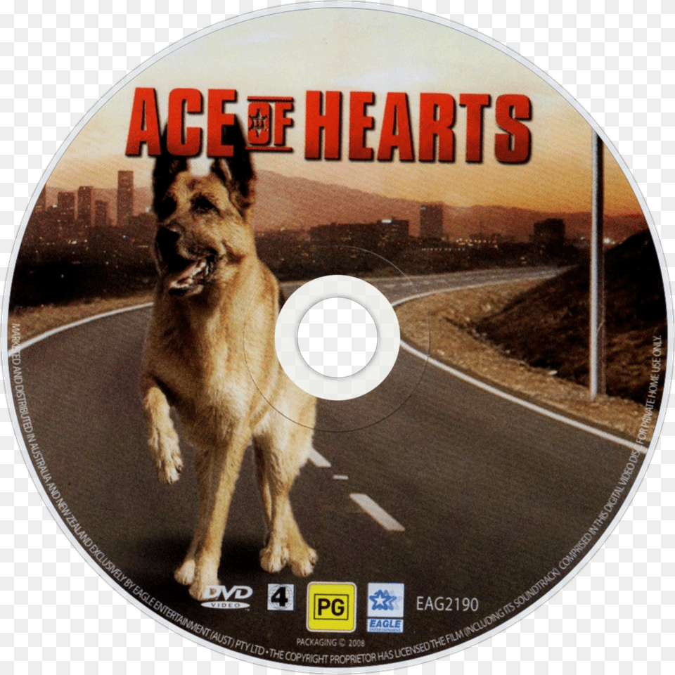 Ace Of Hearts Dvd Disc Image, Disk, Animal, Canine, Dog Free Transparent Png