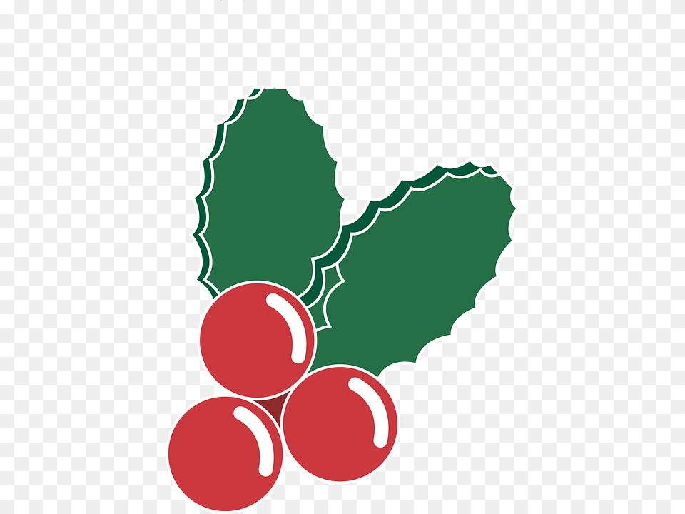 Acebo Ilustracin Vector Navidad Dibujo Rojo Navidad Vector, Dynamite, Weapon, Leaf, Plant Png