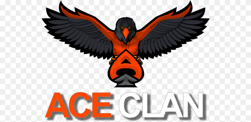 Aceclan Ace Clan Logo R6, Animal, Beak, Bird, Flying Free Png
