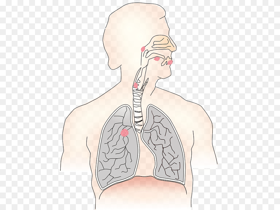 Achalasia Natural Treatment Clipart Transparent Background Photo Of Lungs, Body Part, Face, Head, Person Png Image