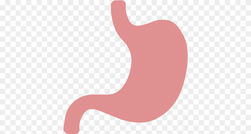 Acid Digestion Digestive Organ Digestion, Body Part, Stomach, Ping Pong, Ping Pong Paddle Png Image