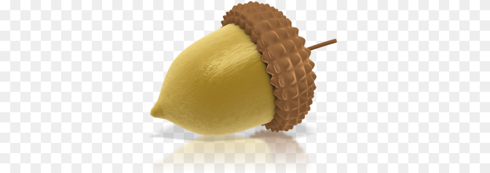 Acorn, Food, Grain, Nut, Plant Png