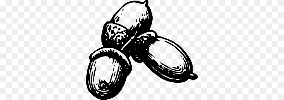 Acorn Gray Png