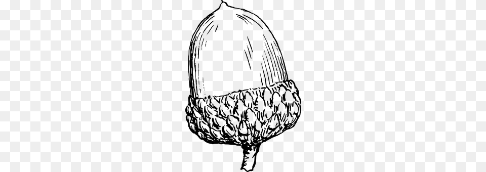 Acorn Gray Png Image