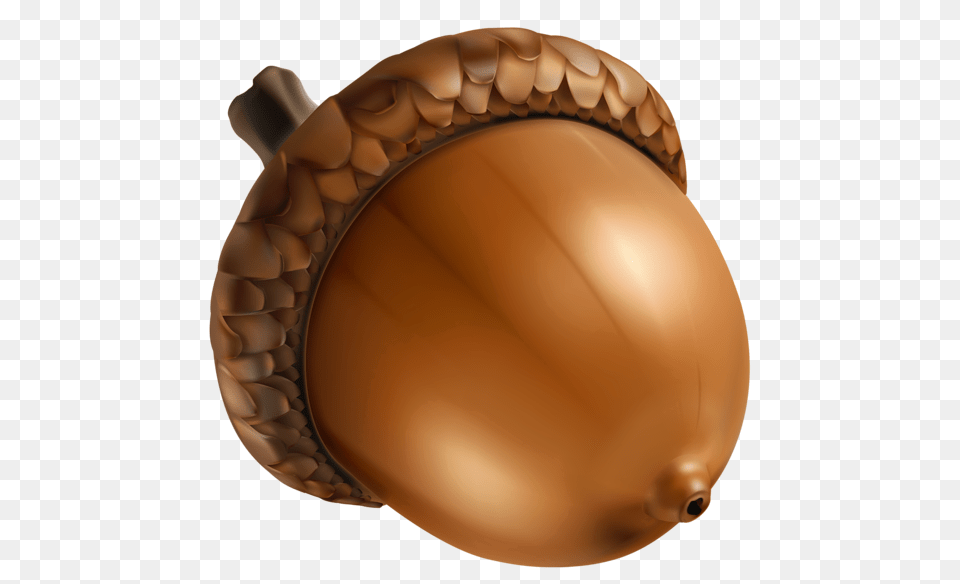 Acorn, Food, Grain, Nut, Plant Free Transparent Png