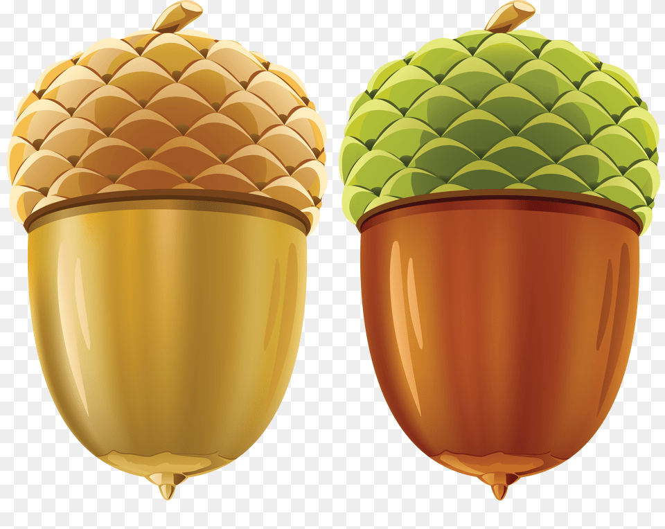 Acorn, Food, Grain, Nut, Plant Free Png Download