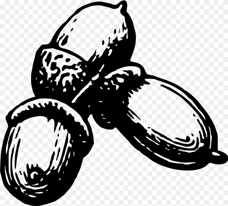 Acorn 4 Clip Arts Nuts And Seeds Clipart, Gray Png Image