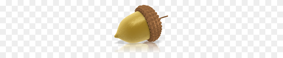 Acorn, Food, Grain, Nut, Plant Png Image