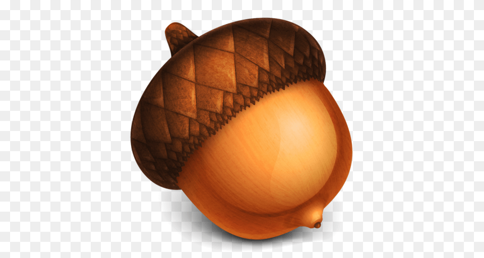 Acorn, Food, Grain, Nut, Plant Free Png